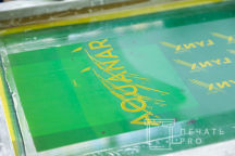 Толстовки с логотипом «AQUANAR»